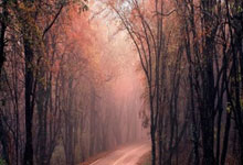 没有等太久，英博主场2-0战胜亚泰，拿到队史中超首胜.