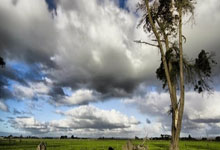 赵继伟：背水一战 我们不会放弃任何一场比赛.