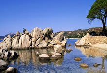 约基奇27+16掘金送爵士6连败 雷霆克快船6连胜.